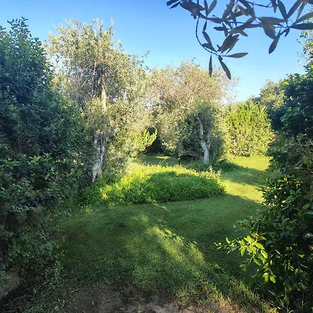 Orizzonte Asinara Sassari